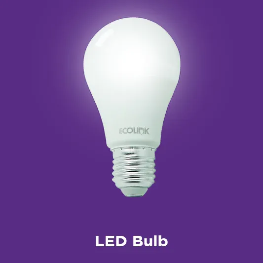 LED BULB