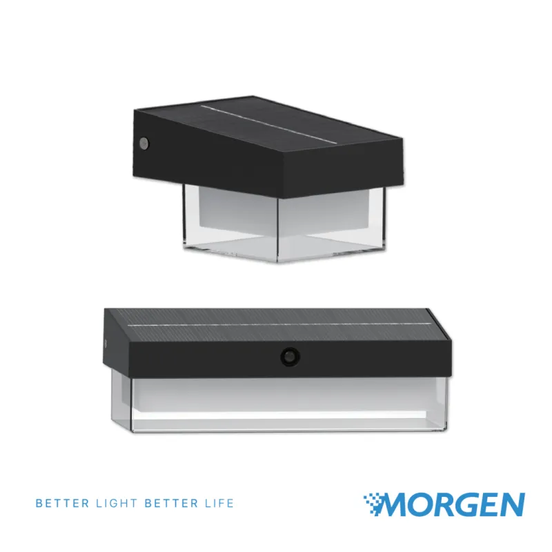 MGSGL513S02-2SP06AH : LED WALL LAMP SOLAR 0.6AH CCT GRAND MORGEN