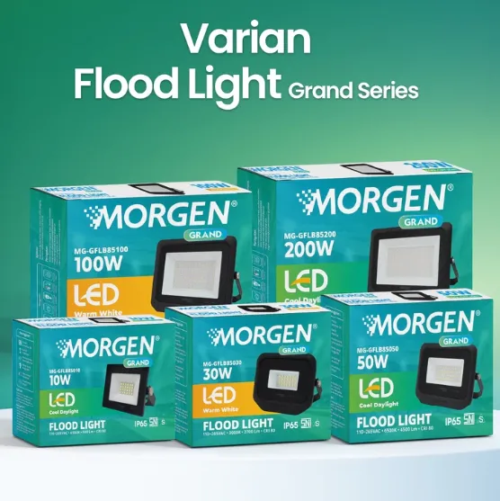 MG-GFL85010 : LED FLOODLIGHT 10W 3000K GRAND MORGEN