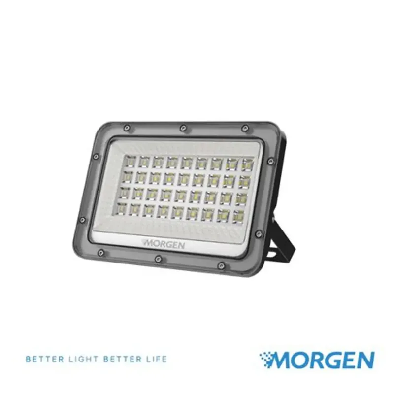 MG-FLL60902-030CCT : LED FLOODLIGHT 30W CCT LEGEND MORGEN